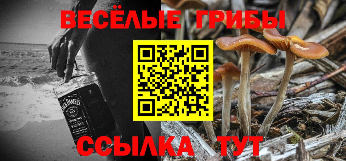 где продают   Псилоцибиновые грибы мухоморы  Галлюциногенные грибы Psilocybe  Вход с VPN  Узловая 
